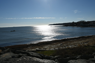Spacious living room stay in downtown