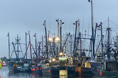 Modern mini-kitchen at Toro's Place HomeStay 